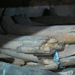 Палеонтология: бивни мамонта, подлежащие глубокой реставрации